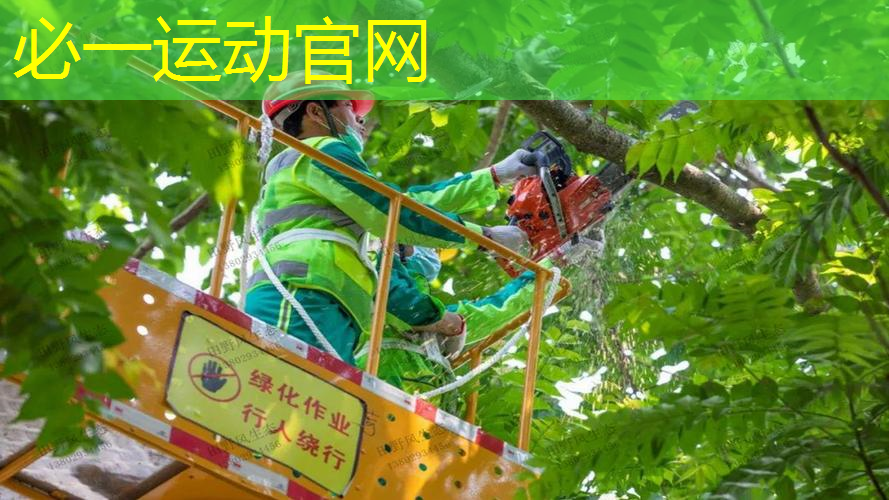 迪卡侬网球拍内胶
