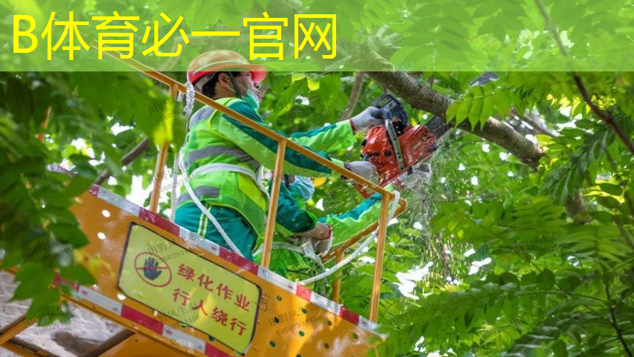 网球拍柄有几层皮子组成