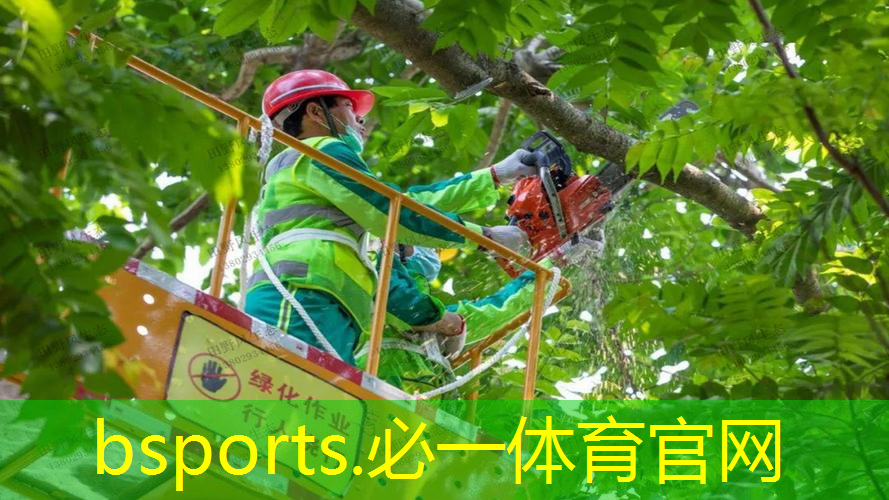 大尺寸网球拍价格多少合适