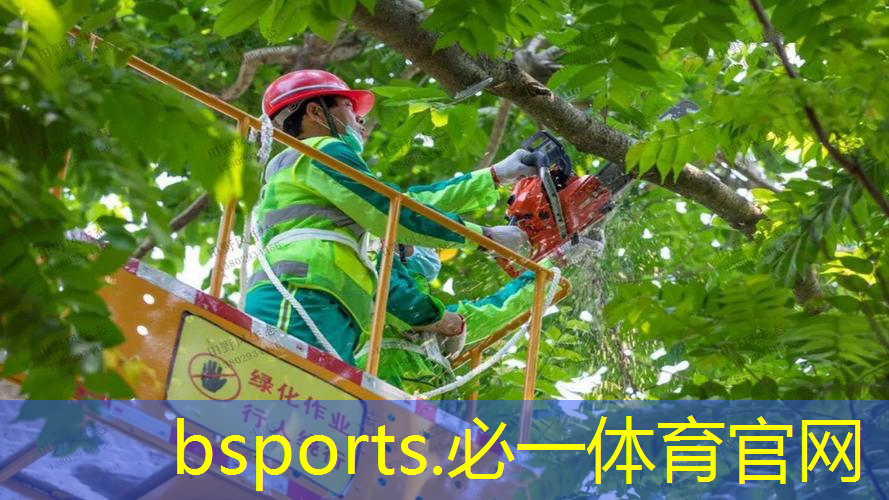 网球拍双人室外训练器