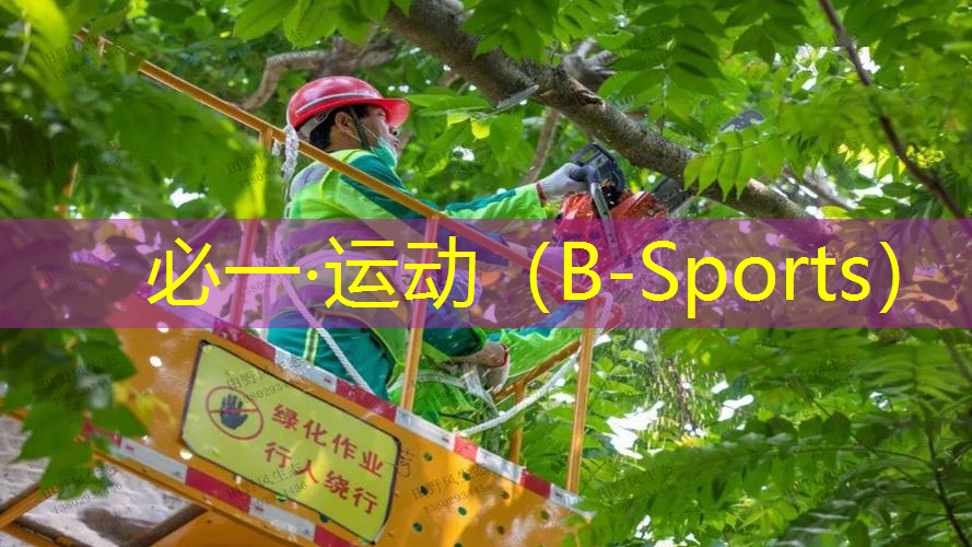 网球拍的五行属性