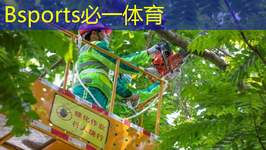 网球拍小黄人配件有哪些