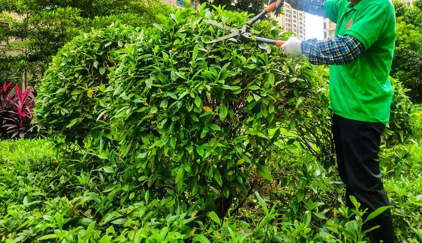 新手网球拍多少寸合适呢
