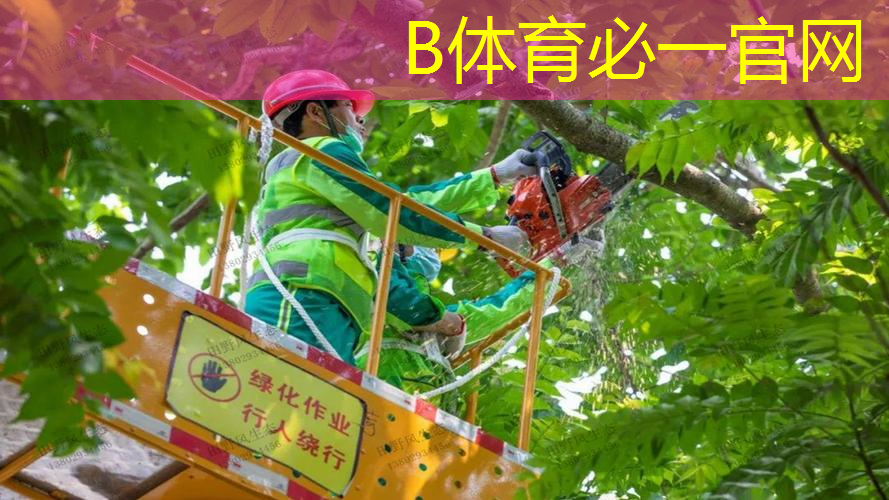 小威那种网球拍的感觉