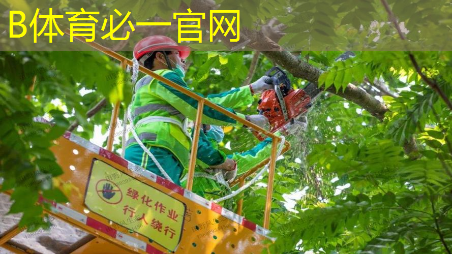 澳洲空运网球拍价格表图