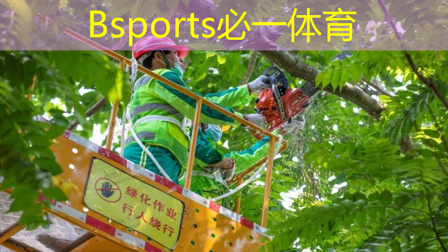 乒乓球台内球还原
